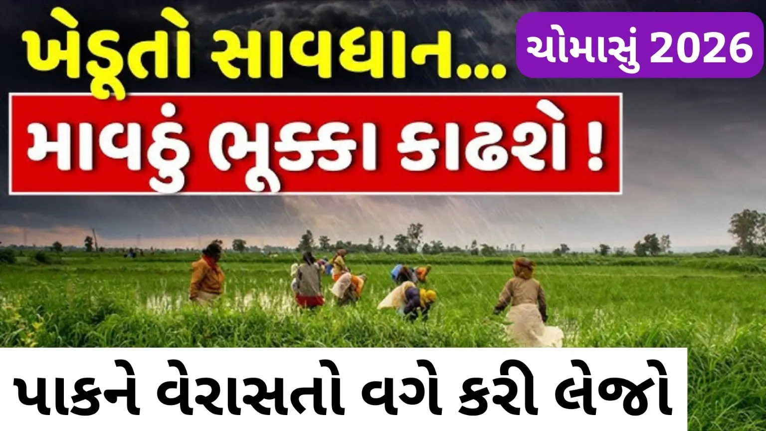 ગુજરાતમાં અચાનક બદલાયેલ હવામાન વચ્ચે ખેતરમાં કામ કરતા ખેડૂતો પર ગાજવીજ સાથે ભારે વરસાદ અને પવનની આગાહી દર્શાવતું દૃશ્ય