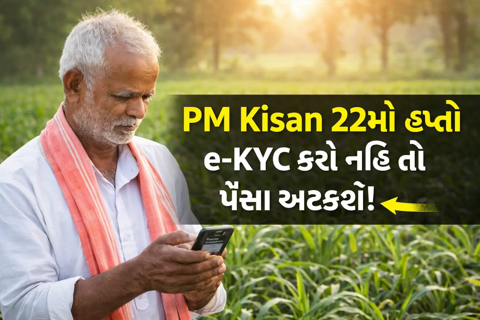 ખેતરમાં ઉભેલા ખેડૂત મોબાઈલમાં PM Kisan 22મો હપ્તોનો મેસેજ ચેક કરતા